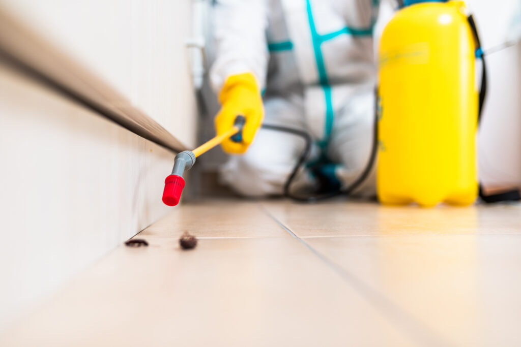Westlake Cockroach Experts