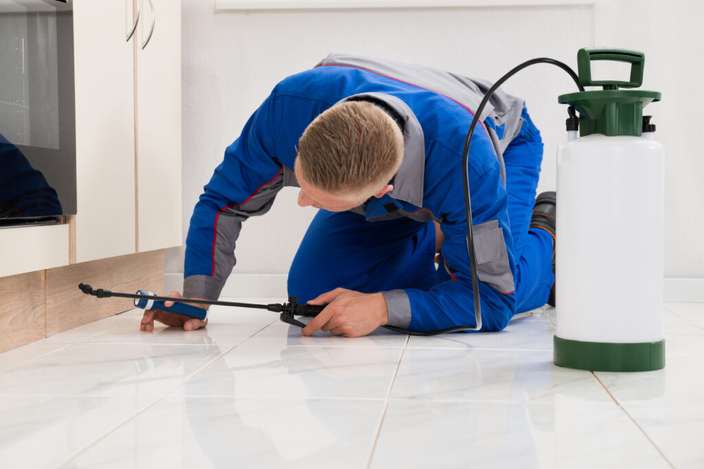 Westlake Ant Control Xperts