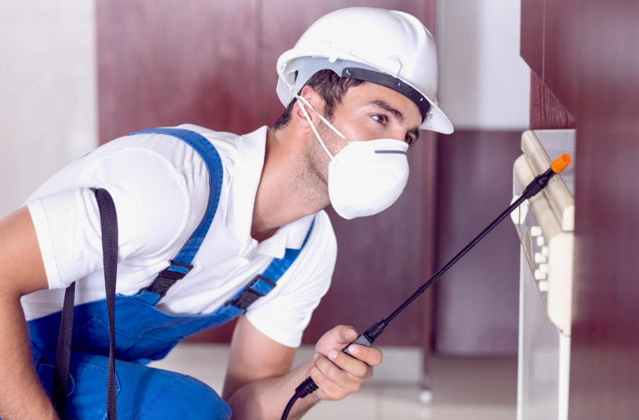 Westlake pest control in ohio