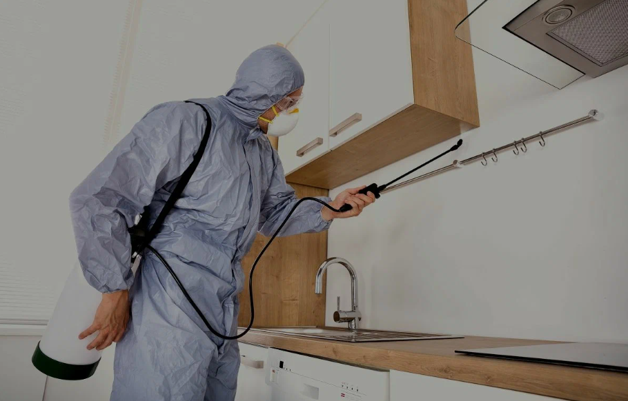 Westlake best pest xperts